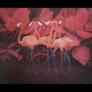 Meet your Posher, Ngozi